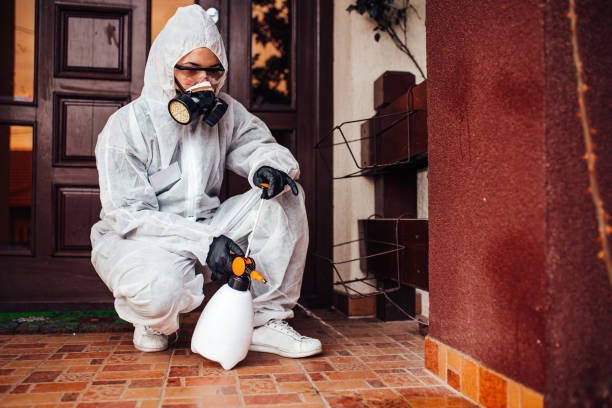 Attic and Crawl Space Rodent Treatment in French Island