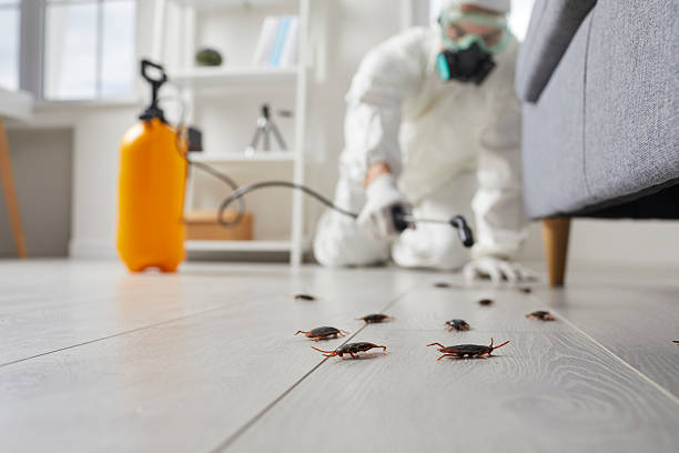 Commercial Rodent Management in French Island